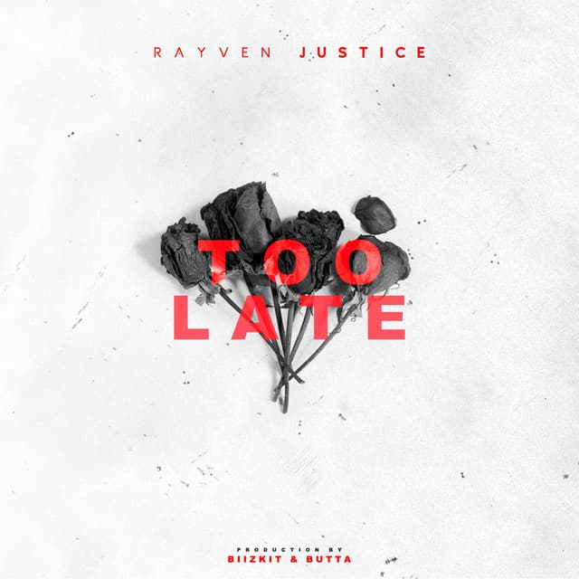 Too Late cover art