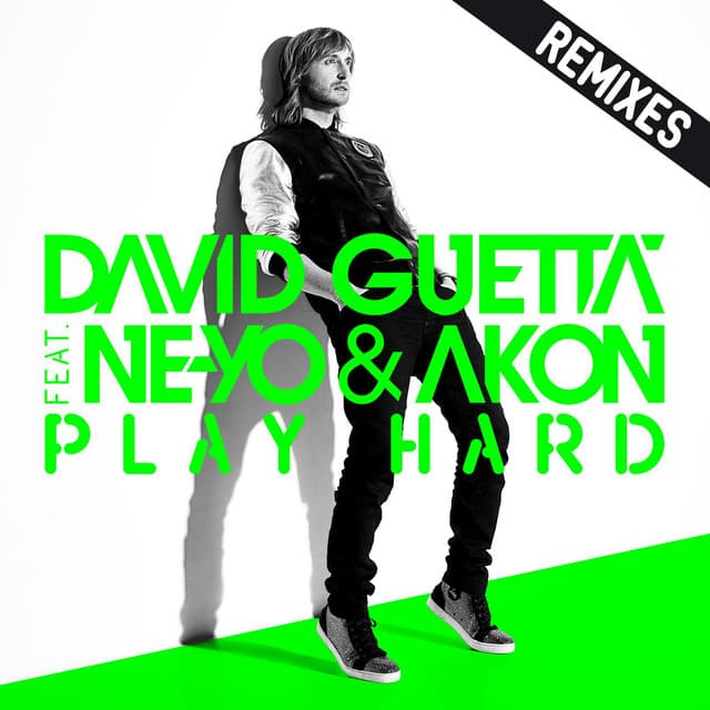 Play Hard (feat. Ne-Yo & Akon) - Maurizio Gubellini & Delayers in Da House Remix cover art
