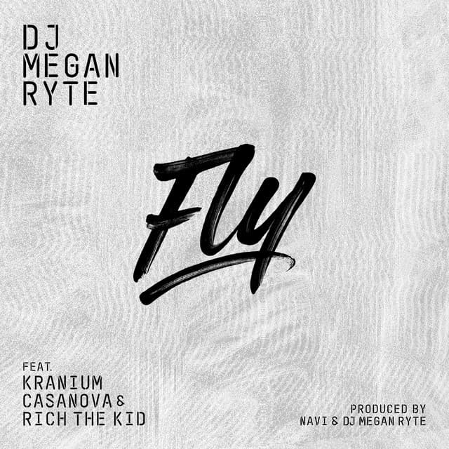 Fly cover art