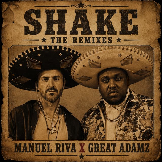Shake - Rio Extended Mix cover art