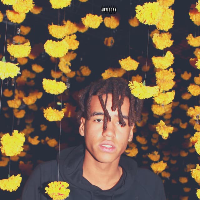 Blessings in Disguise cover art