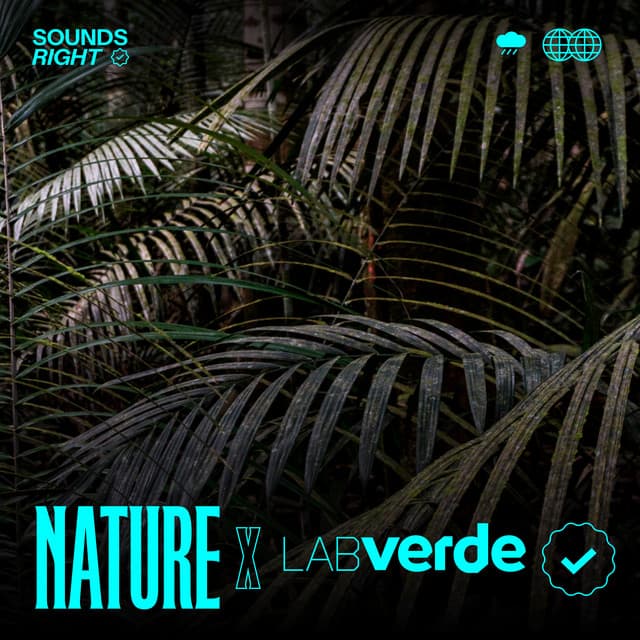 Terra Firme Hidden Soundscape cover art