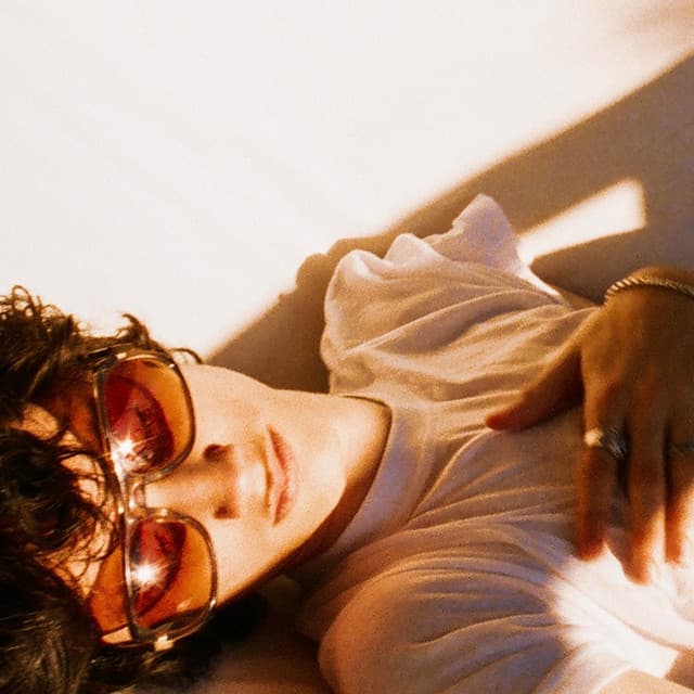 willow cover art