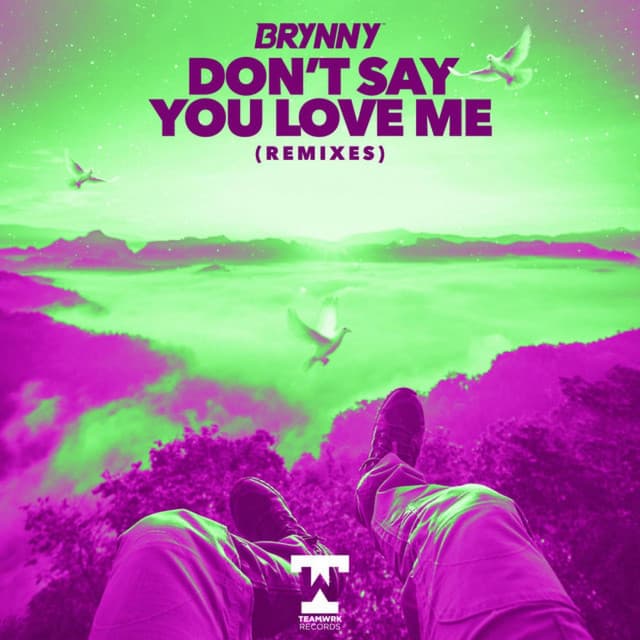 Don't Say You Love Me - Theis EZ Remix cover art