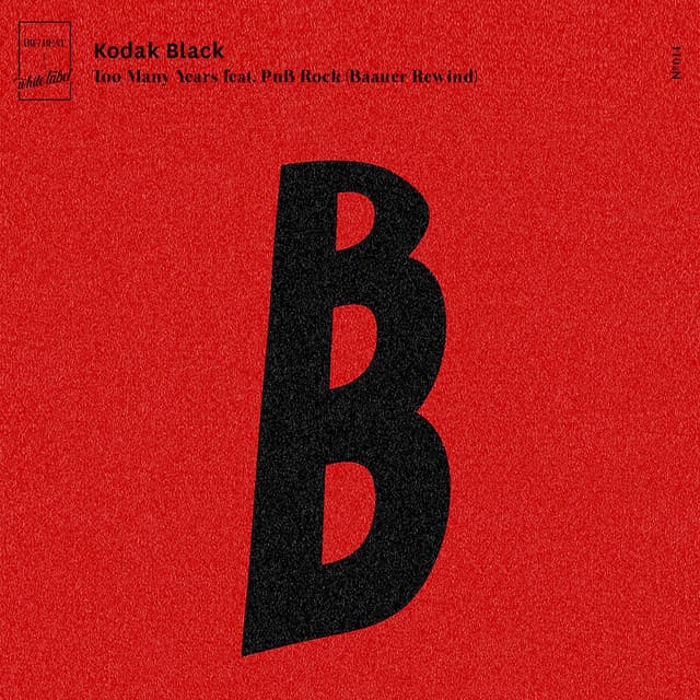 Too Many Years (feat. PnB Rock) - Baauer Rewind cover art