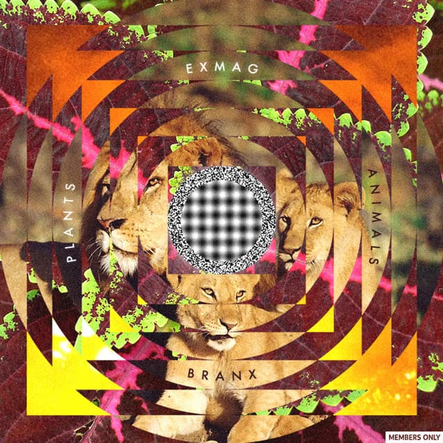 Map of Foreign Lands (feat. Kianu) cover art