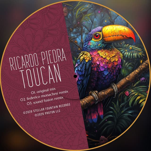Toucan - Federico Monachesi Remix cover art