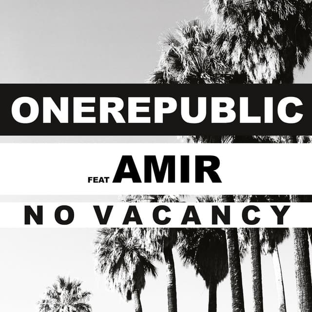 No Vacancy (feat. Amir) cover art