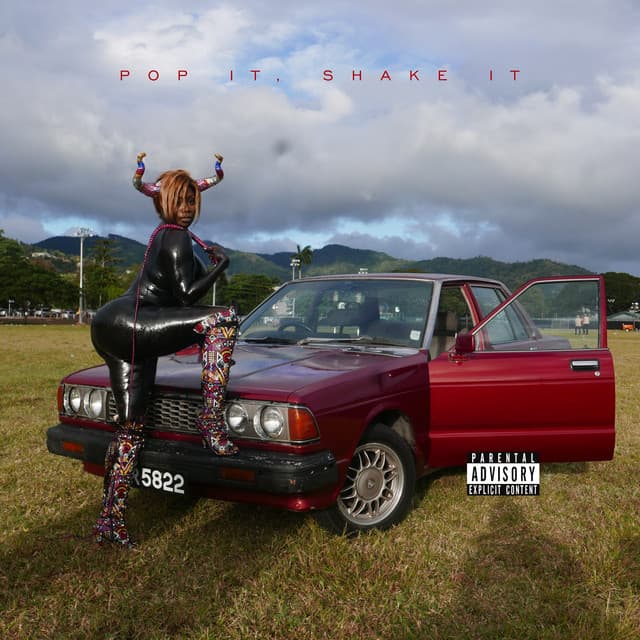 Pop It, Shake It cover art