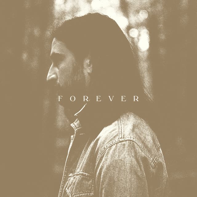 Stick Season (Forever) cover art
