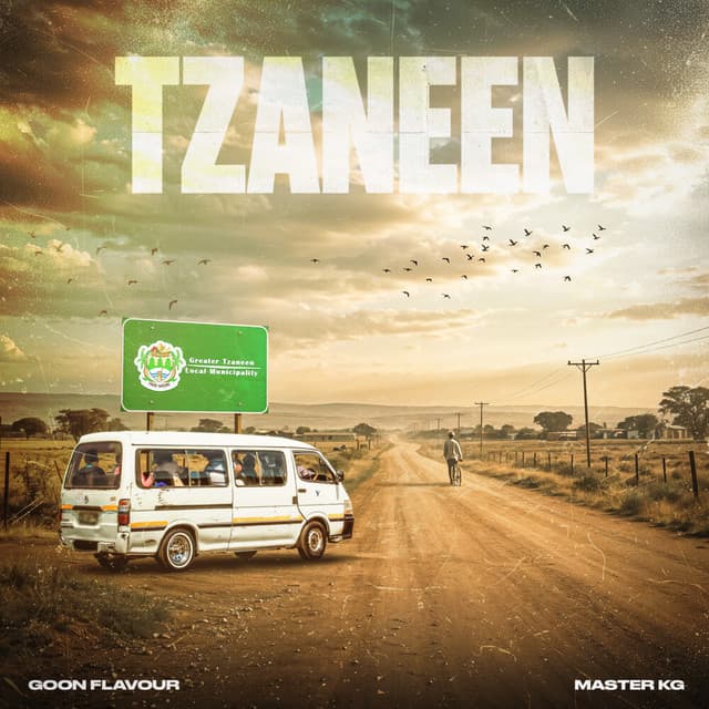 Intliziyo cover art