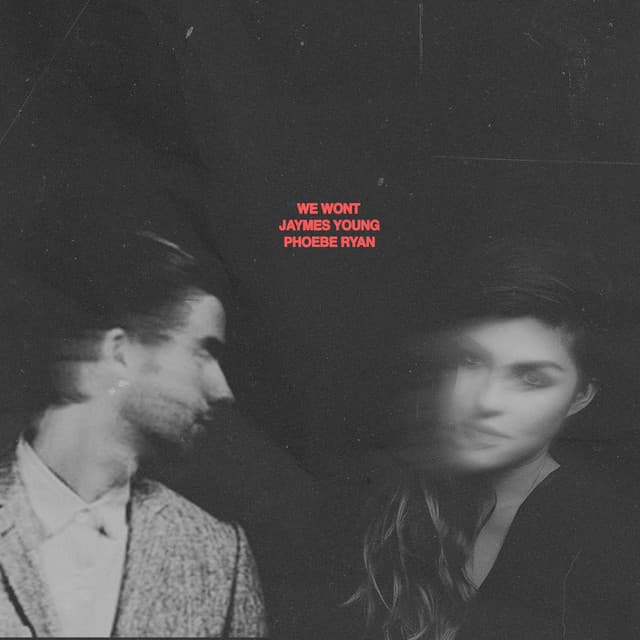 We Won't cover art