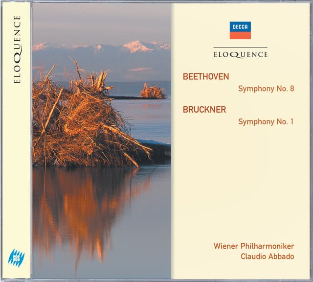 Symphony No. 1 in C Minor, WAB 101 (1877 Rev. Linz Version, Ed. Haas): I. Allegro cover art