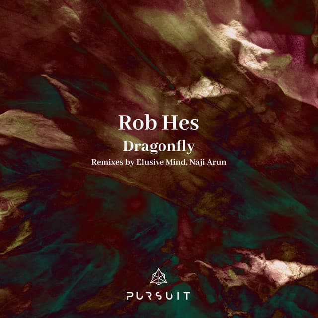 Dragonfly - Naji Arun Remix cover art