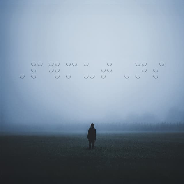 Organism Algorithm Permutations cover art