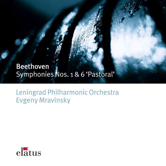 Beethoven: Symphony No. 1 in C Major, Op. 21: II. Andante cantabile con moto (Live at Leningrad, 1982) cover art