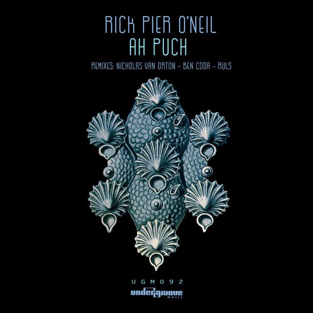 Ah Puch - Ruls Remix - Mixed cover art