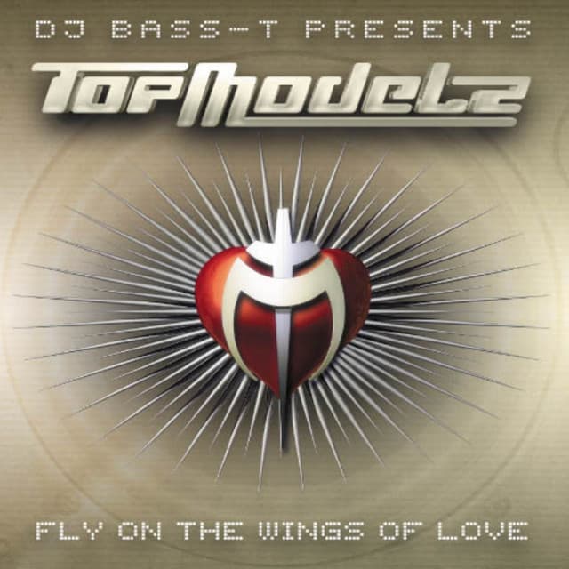 Fly On The Wings Of Love - Rocco Remix cover art