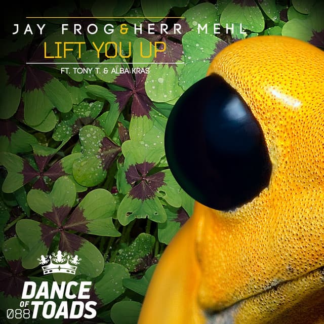 Lift You Up - Radio Edit cover art