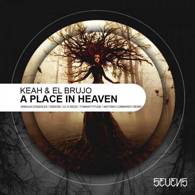 A Place In Heaven - Dj D Redd Remix cover art