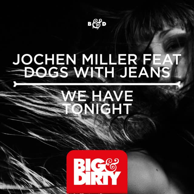 We Have Tonight - Original Mix cover art