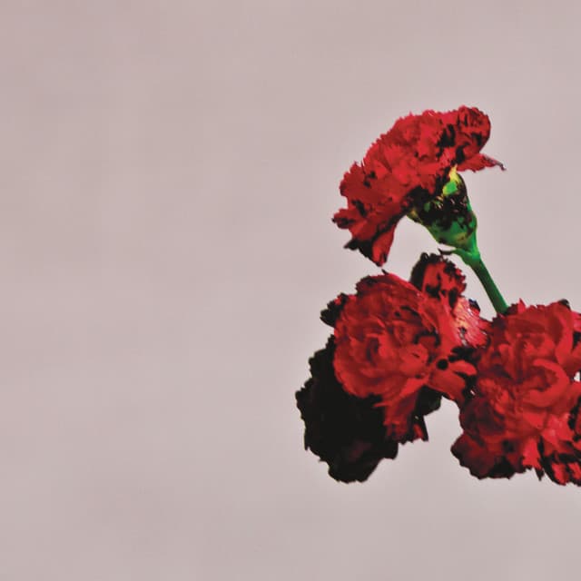 Love In The Future (Intro) cover art