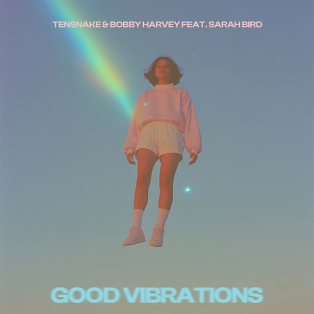 Good Vibrations cover art