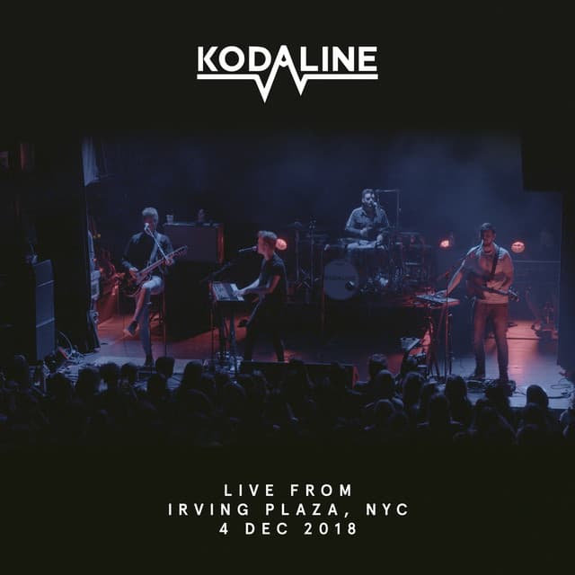 Honest - Live from Irving Plaza, NYC, 4 Dec 2018 cover art