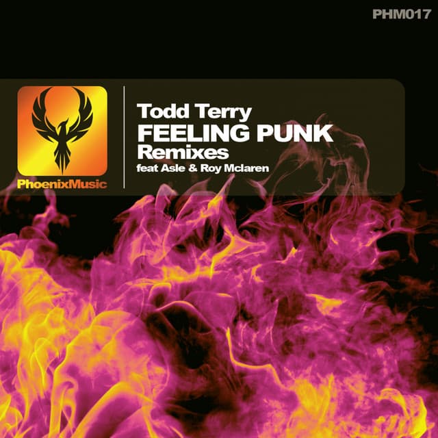 Feeling Punk - Asle Remix cover art