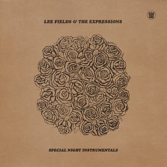 Special Night (Instrumentals) cover art
