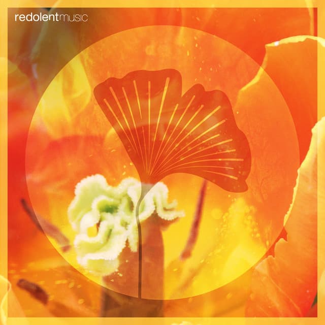 Loco Morocco - DJ CHUS Extended Remix cover art