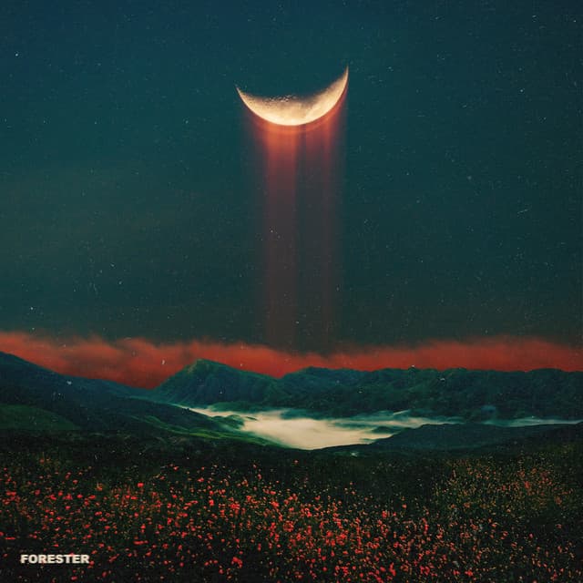 The Desert, I Run cover art