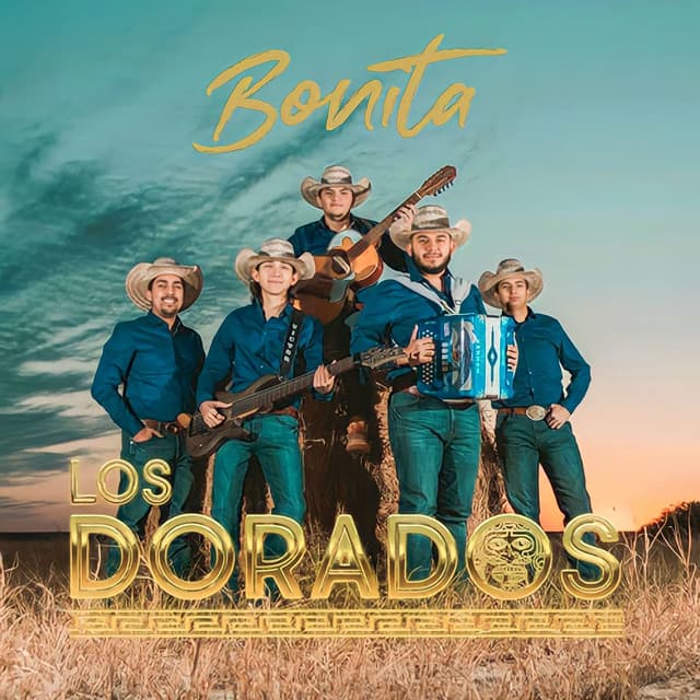 Bonita (En Vivo) cover art