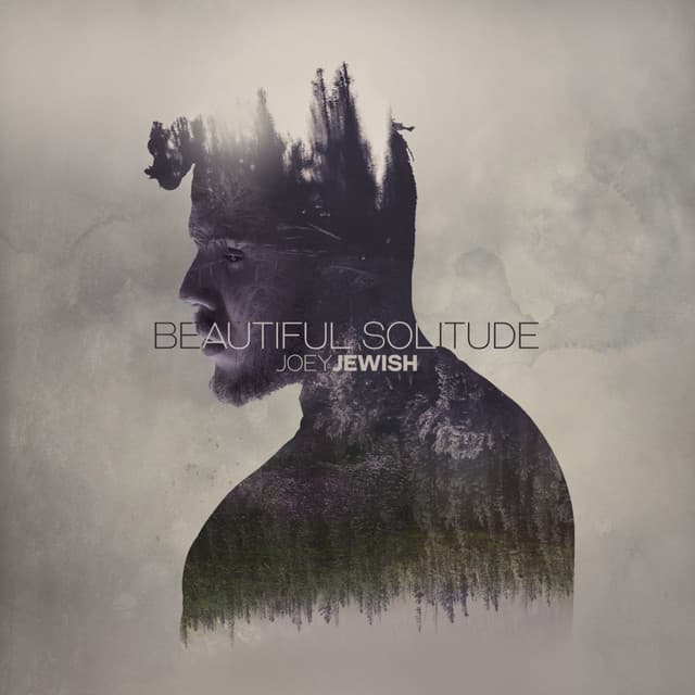 Beautiful Solitude cover art