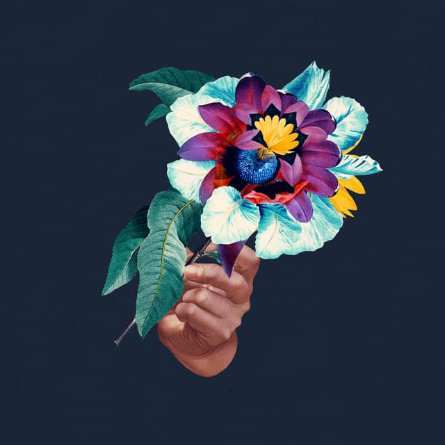 Kingdoms In Colour Remixed cover art