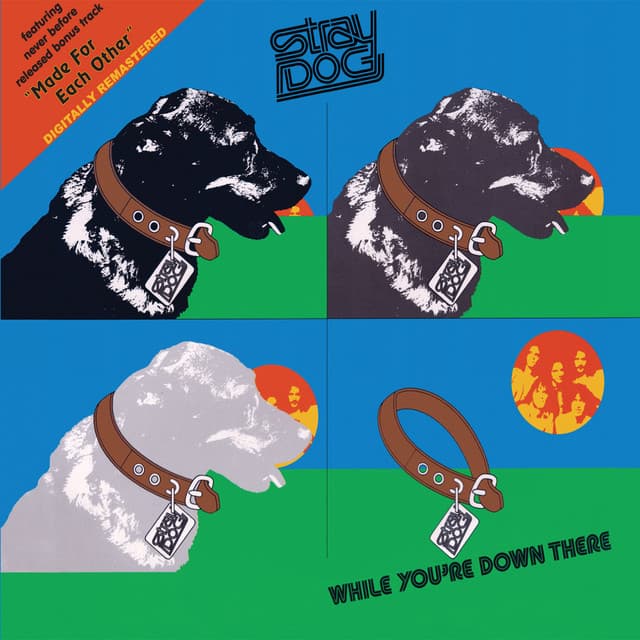 Junkyard Angel cover art