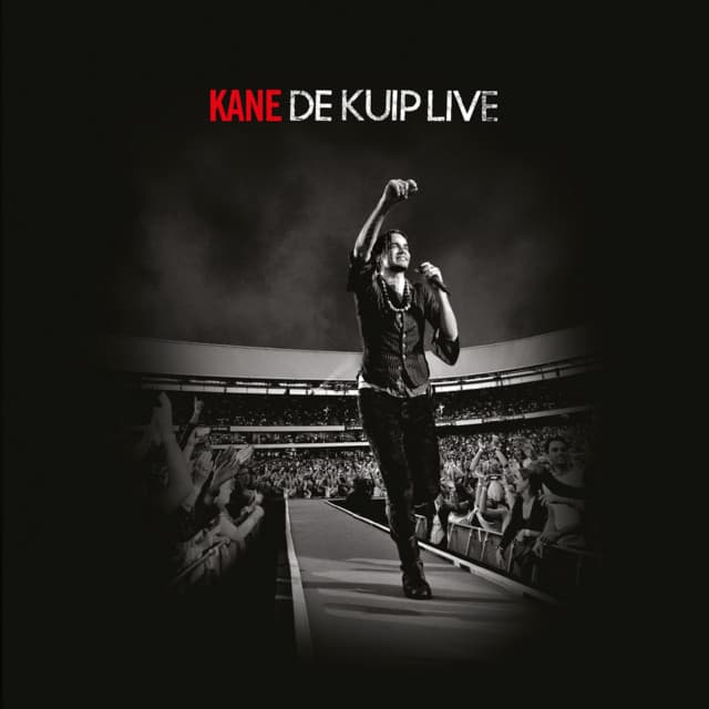 Damn Those eyes - De Kuip live 2008 cover art