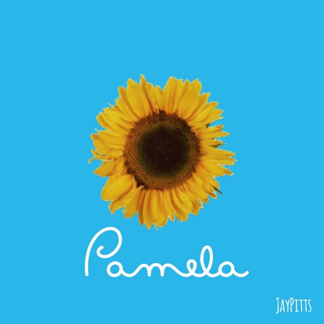 Pamela cover art