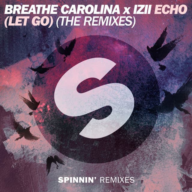 ECHO (LET GO) - Husman Remix cover art