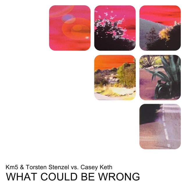 What Could Be Wrong - Sin Plomo Dub Mix cover art