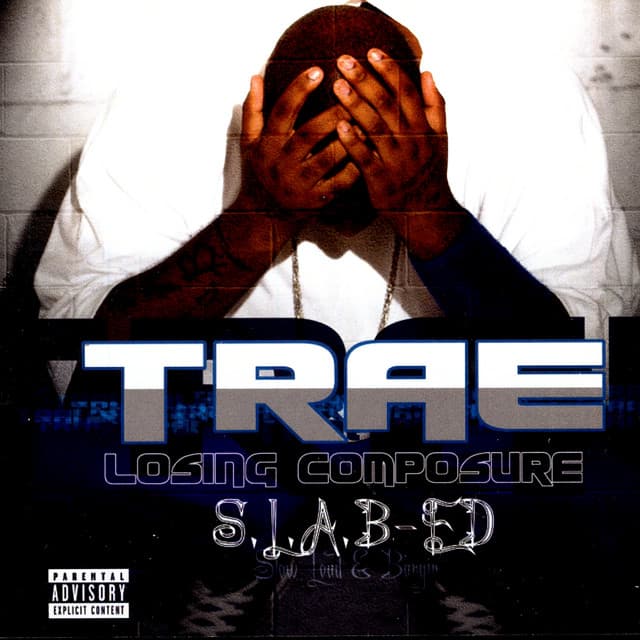 Pimpin cover art