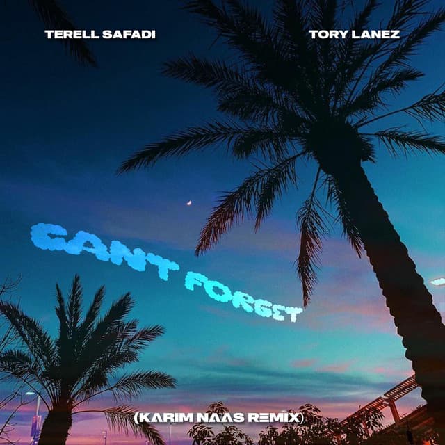 Can't Forget (Karim Naas Remix) cover art