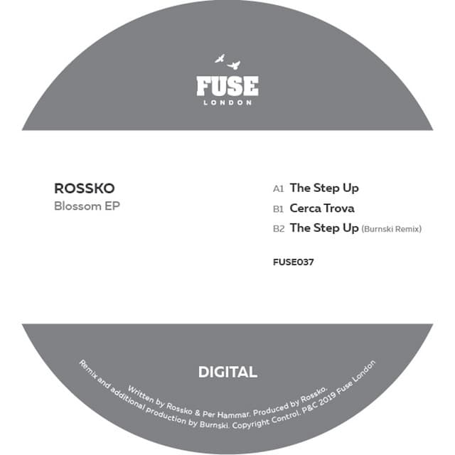 The Step Up - Burnski Remix cover art