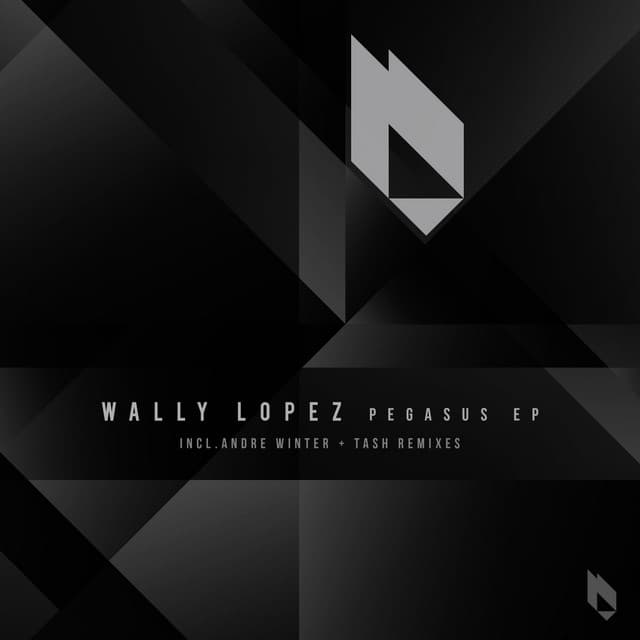 Pegasus - Andre Winter Remix cover art