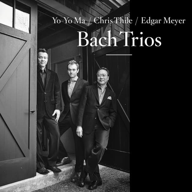Sonata for Viola da Gamba No. 3 in G Minor, BWV 1029: II. Adagio cover art