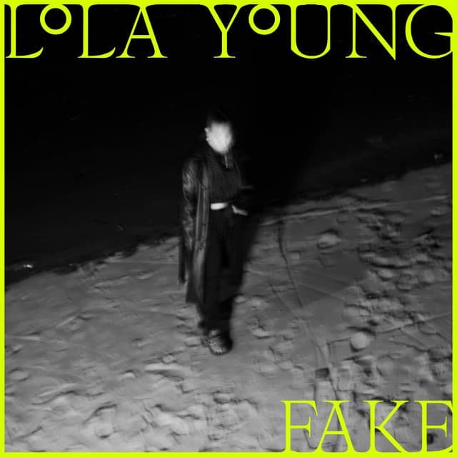 FAKE cover art