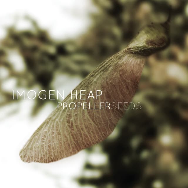 Propeller Seeds cover art