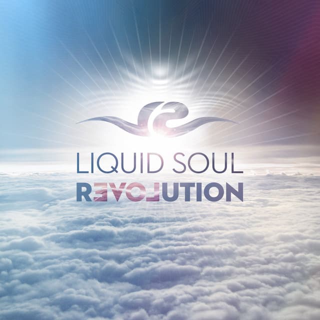 Revolution cover art