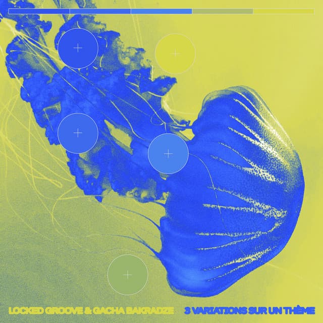 Variation 2 cover art