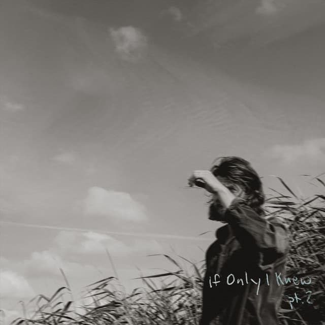 The Tourist cover art